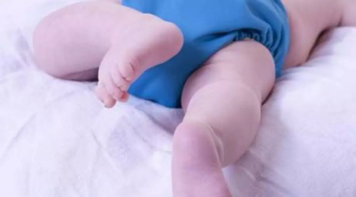 Testele pe portocale sunt irelevante. Şeful ANSVSA: N-am făcut analize pentru E.coli