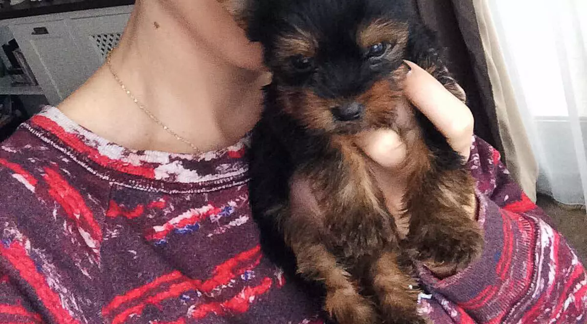 Cum să obţii un abdomen perfect ca al lui Jojo! Fanii au fost şocaţi: "Nici în visele mele cele mai negre nu  aş vrea aşa ceva”