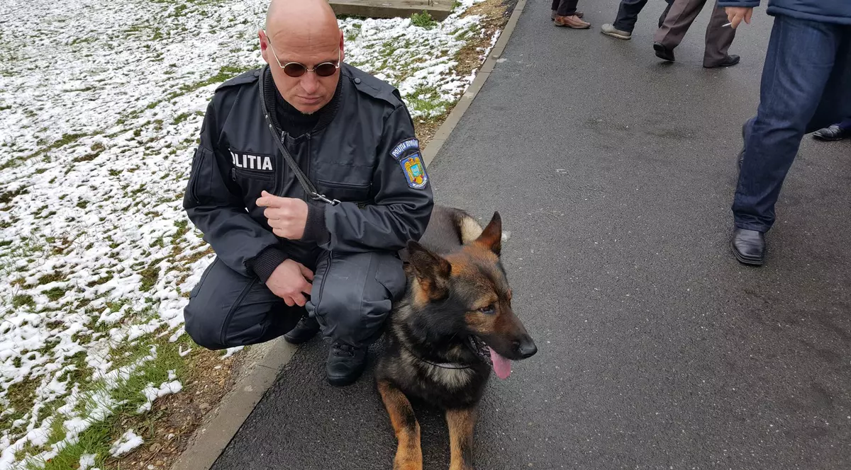 Nom, singurul câine din România care depistează cadavre. Simte mirosul moleculelor aflate şi la 200 de metri sub apă | FOTO&VIDEO