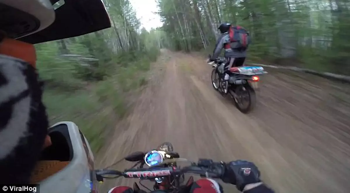 Surpriza vieții pentru doi motocicliști. Cu ce s-au trezit în față, pe un traseu împădurit| VIDEO