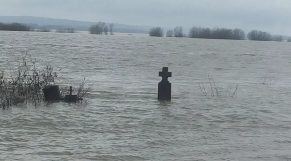 Dunărea, sub cod portocaliu în judeţul Olt! Sute de hectare de păşune şi pădure sunt inundate! GALERIE FOTO