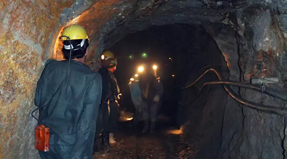 Salvarea ortacilor poate veni din America Centrală. Investitori mexicani în Valea Jiului?