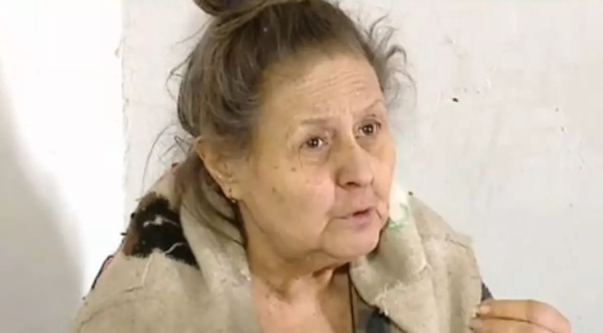 Cum arată acum garsoniera femeii care stătea în casă cu 29 de pisici