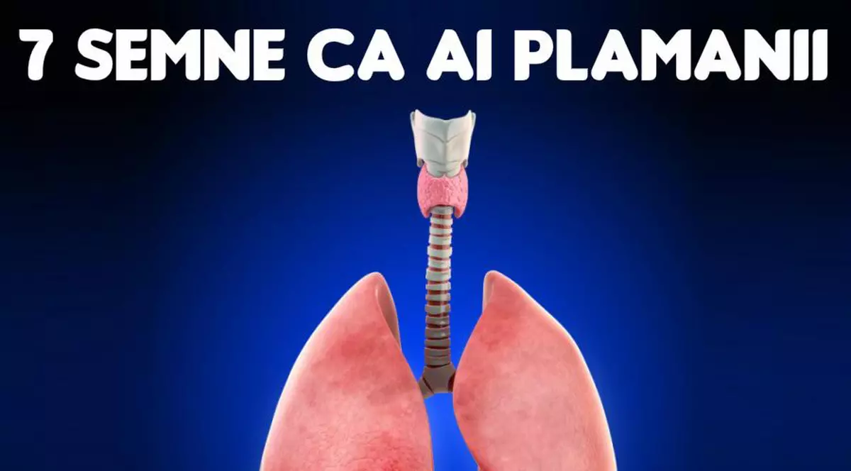 Semne că ai prea multe toxine în plămâni