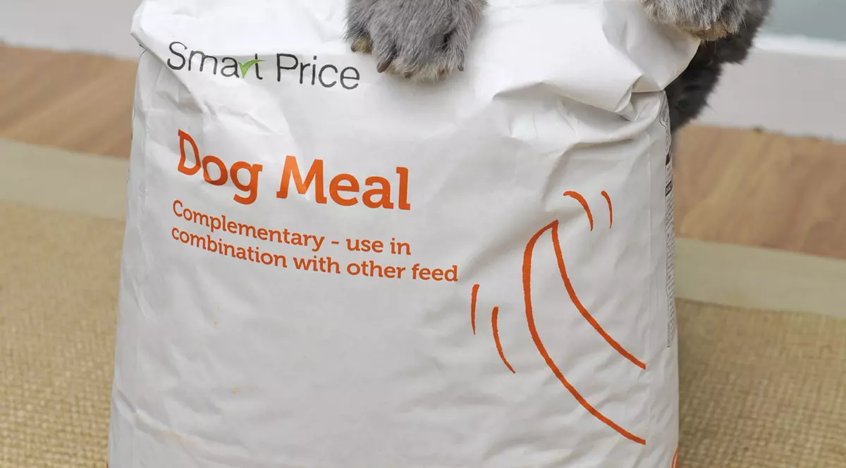 Bluebell, iepurașul care se crede cățel! Cerșește mâncare și își așteaptă stăpâna la ușă!