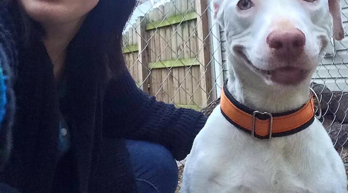 Cățelul care zâmbește încontinuu. A fost abandonat, dar acum are o nouă locuință