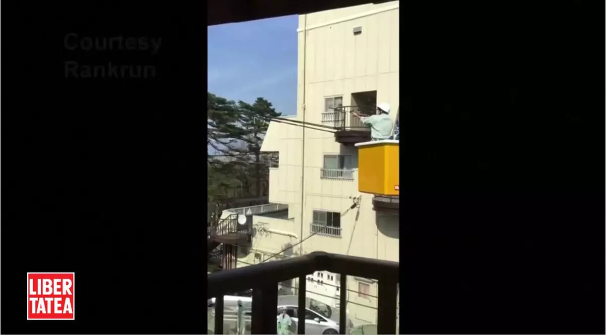 OPERAŢIUNE DRAMATICĂ DE CAPTURARE A UNUI CIMPANZEU EVADAT DE LA ZOO / VIDEO