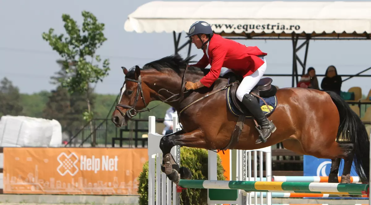 129 de cai au tropăit cu folos la Circuitul Salonul Calului / GALERIE FOTO