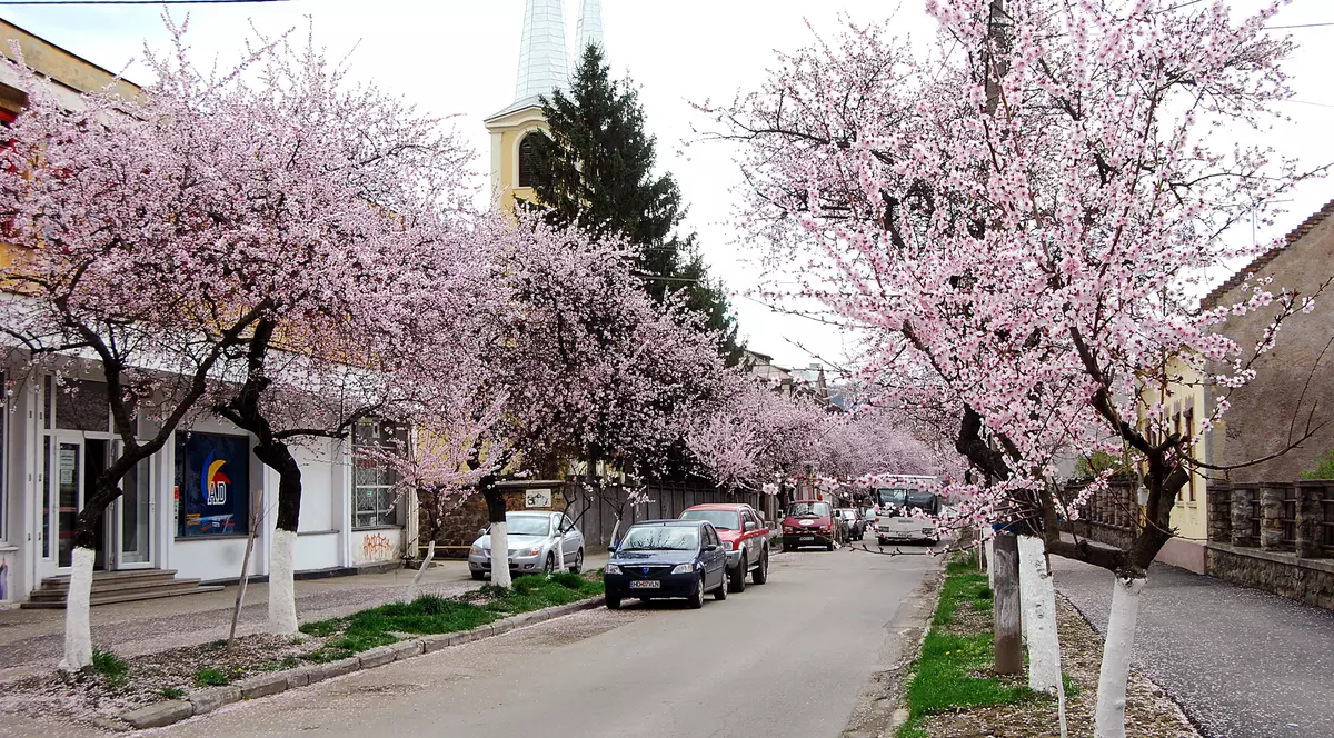 Este aceasta una dintre cele mai frumoase străzi din România? Imagini desprinse parcă din povești! GALERIE FOTO