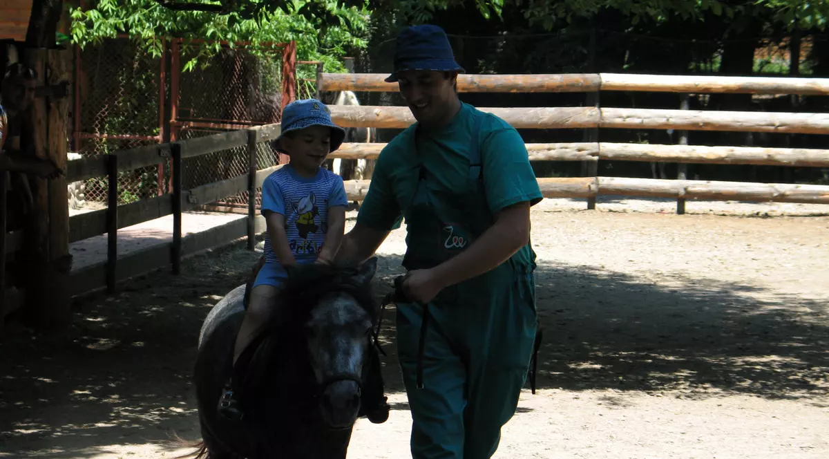 Primăria aduce din nou ponei prin Cişmigiu