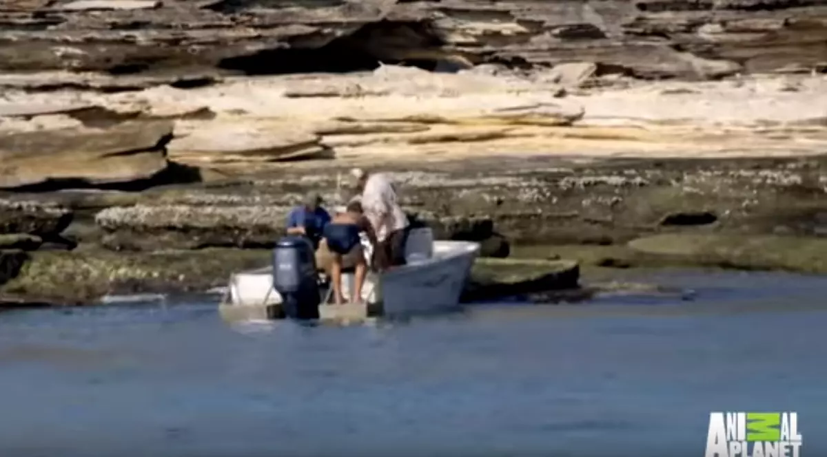 Incredibil! O echipă Animal Planet a găsit un bărbat pierdut pe o insulă pustie. De cât timp se afla acesta acolo | VIDEO