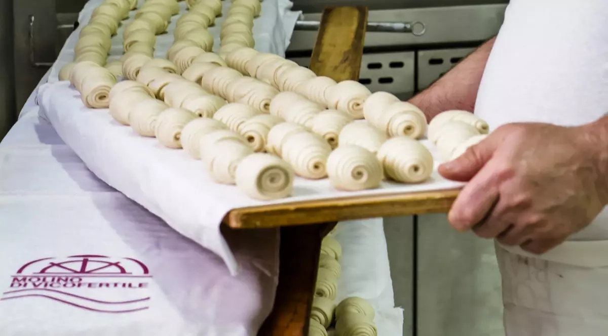 Din cerșetor a devenit afacerist peste noapte! Gestul incredibil care i-a schimbat total viața unui om al străzii