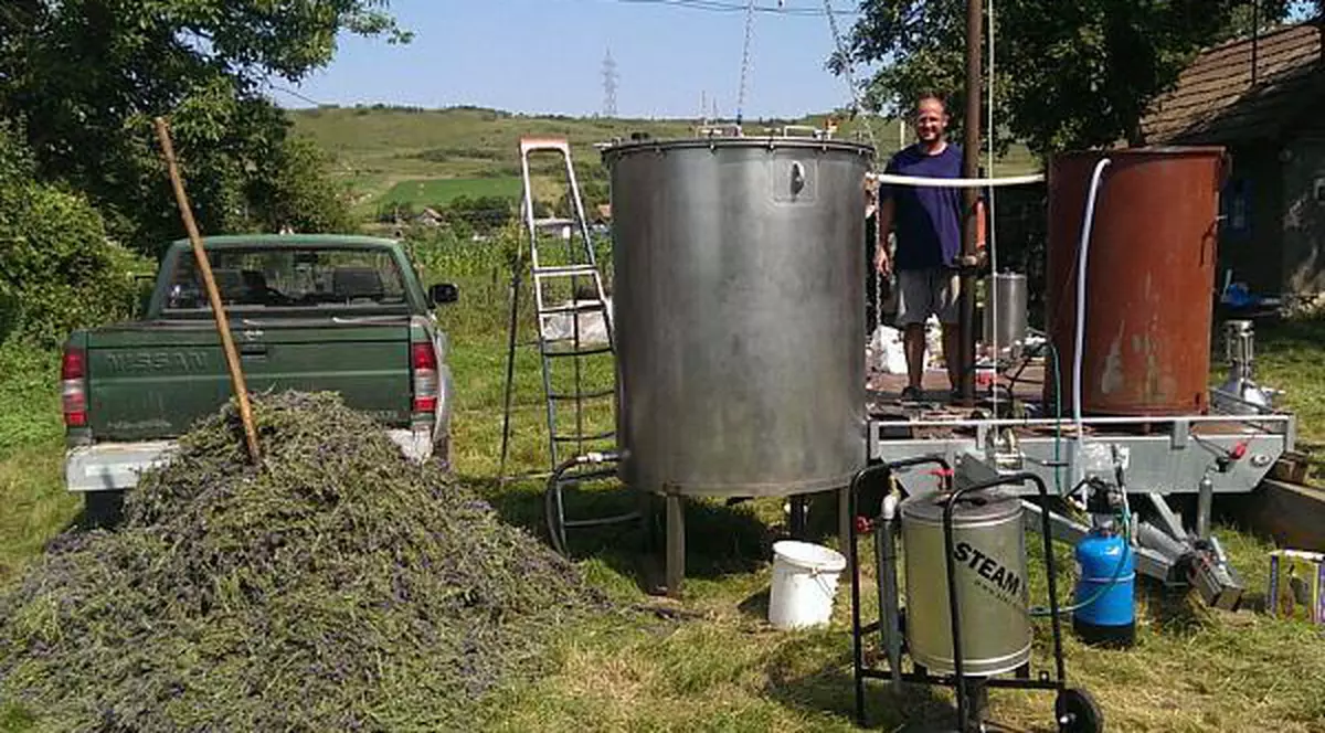 Parfum de profit | Și-a făcut o distilerie mobilă pentru ulei de lavandă