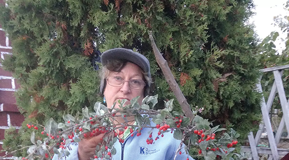 O femeie din Vaslui care cultivă goji speră să obțină venituri substanțiale