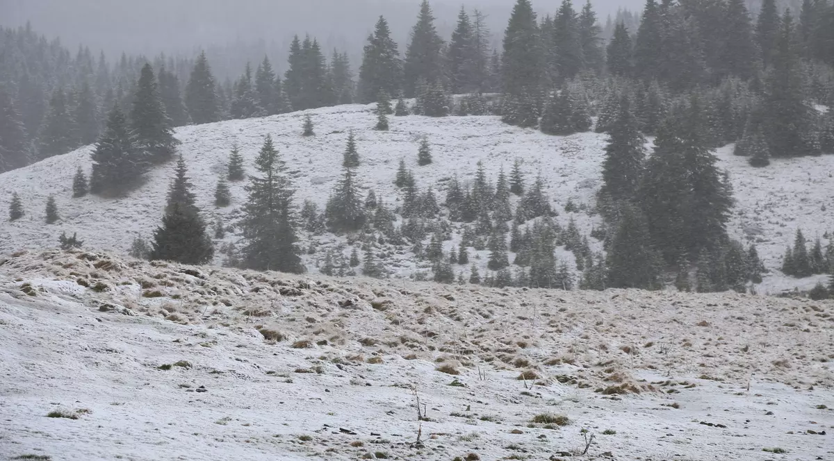 turiști rătăciți bucegi