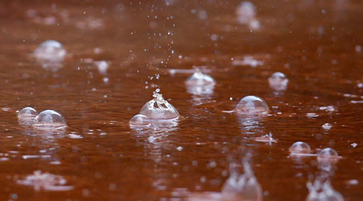 ”BRD Năstase-Țiriac Trophy” - ziua a 3-a. Ploaia a dat peste cap tot programul. Nu s-a jucat niciun meci