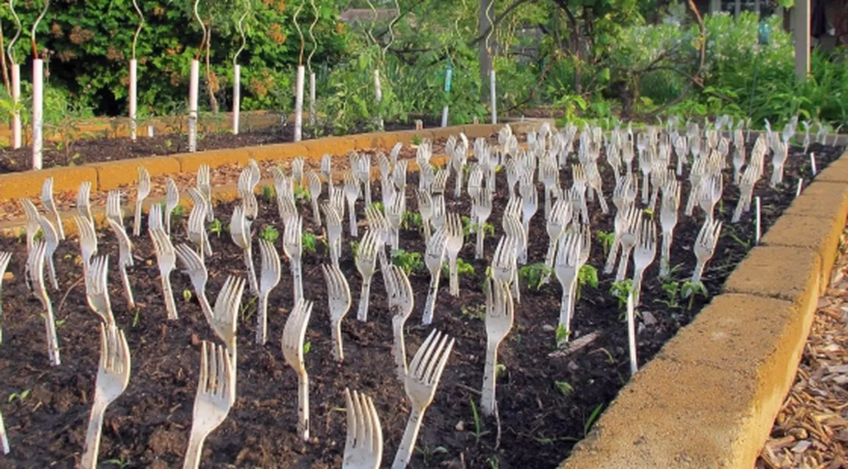 Ţi se poate părea ciudat, dar soluţia e garantată! Motivul genial pentru care a înfipt sute de furculiţe în pământ!
