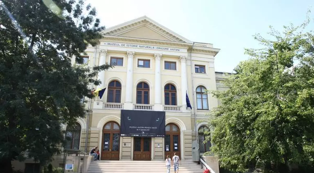 Urarea de Paste a muzeului Antipa s-a viralizat pe Facebook. Cum arata "iepurasul de cinci milioane de ani vechime"