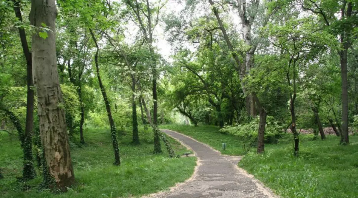 A ajuns la spital cu hemoragie puternică şi a minţit că a fost violată în Parcul Botanic din Timișoara! Ce s-a întâmplat, de fapt, cu tânăra!