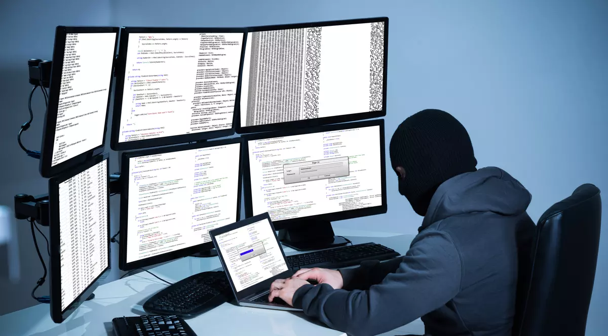 EXCLUSIV / Statul și-a angajat lupi la stână! Fostul director al firmei plătite să păzească instituțiile publice de hackeri a ajuns la închisoare pentru că ar fi țepuit bugetul cu 4 milioane de euro