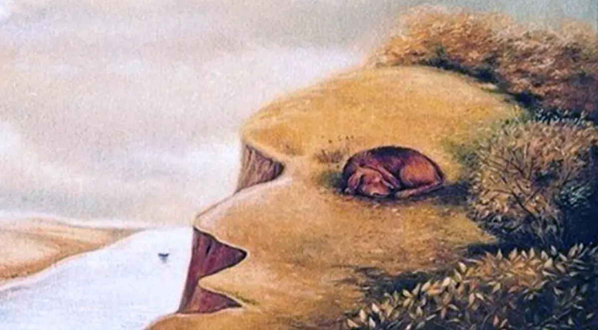 Test de personalitate: Ce ai văzut prima dată în imagine: câinele, fața sau prăpastia?