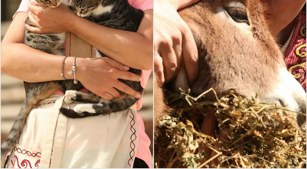 Elena Lasconi, declarații surprinzătoare după ce a fost eliminată de la “Ferma vedetelor”. “Am fost operată”