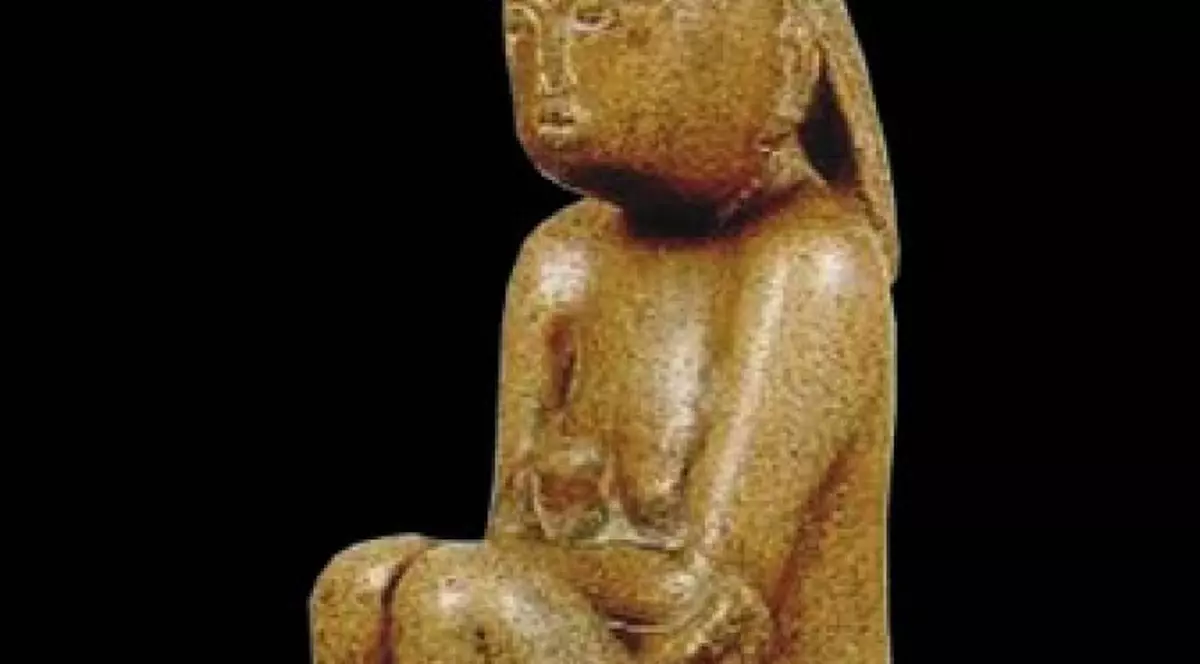 Ordonanțele privind achiziția Cumințeniei Pământului, respinse