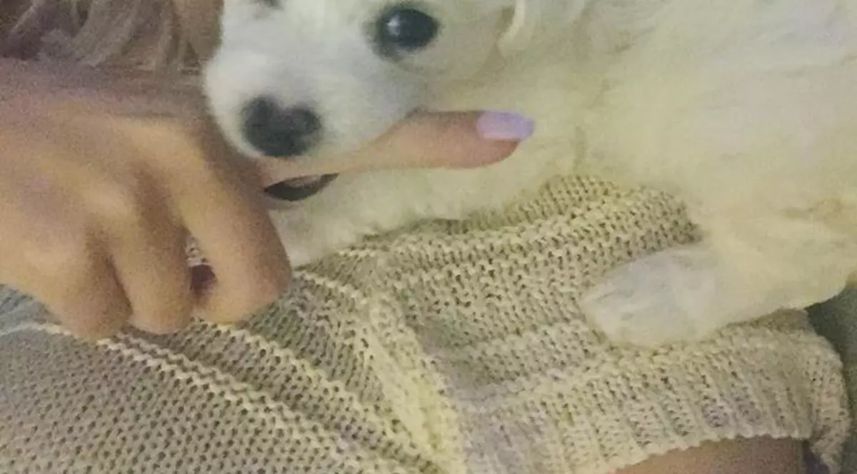 Întâmplarea care a amuzat-o teribil pe Andreea Bălan. "Am trăit să o văd și pe asta"