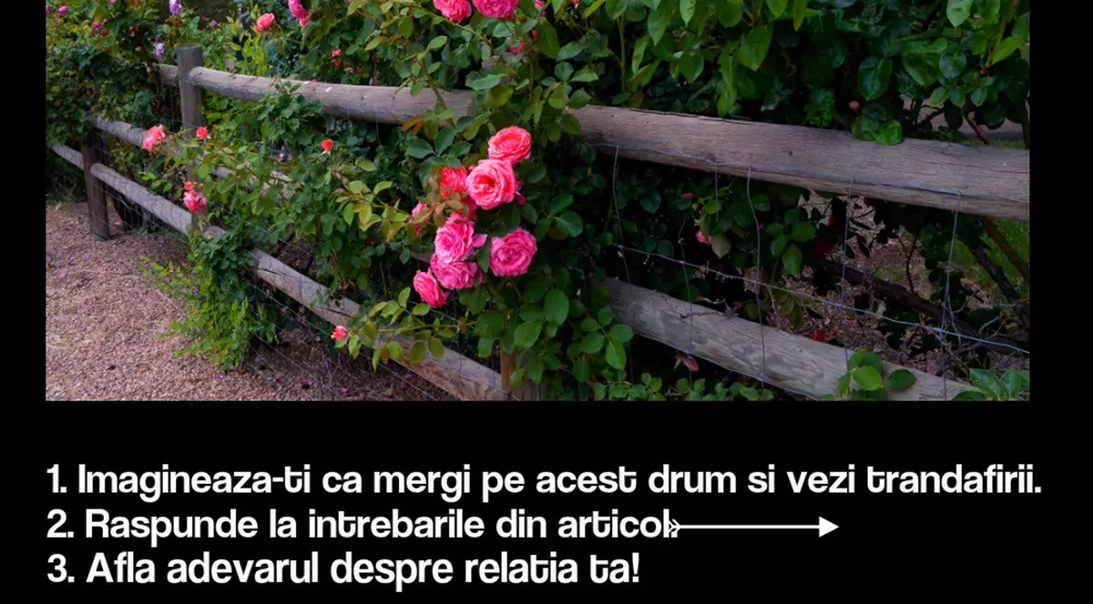 Testul călătoriei – ce spune despre relația ta o călătorie imaginară