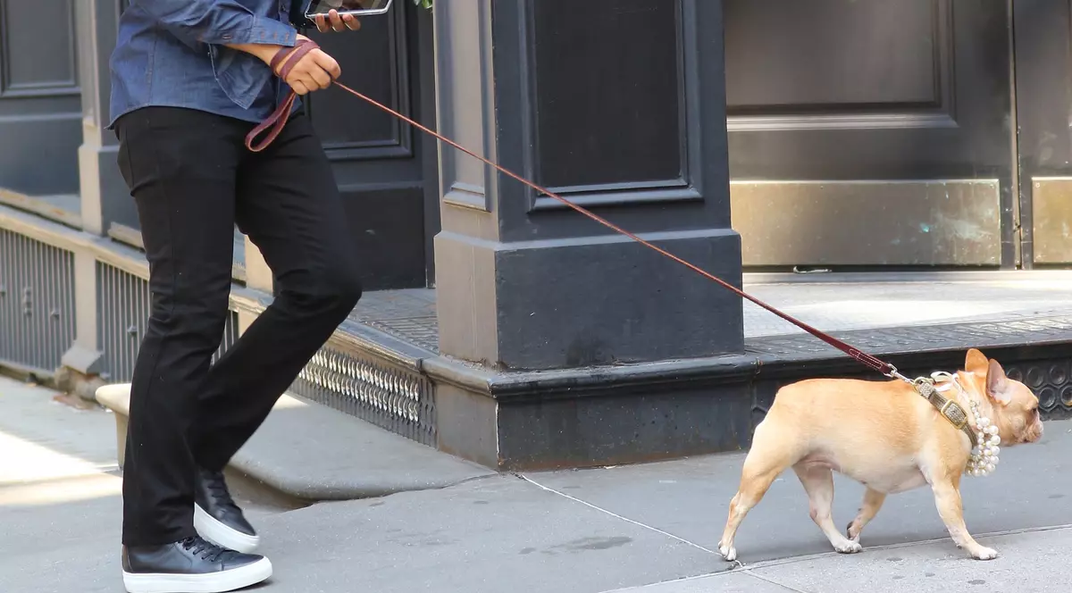 Cântărețul John Legend a fost eclipsat de câinele său | FOTO