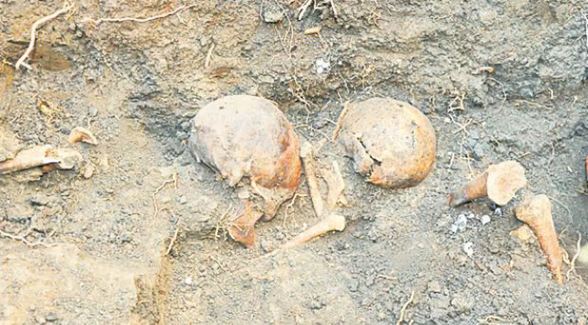 Descoperire şocantă în Irak: groapă comună cu 400 de cadavre, găsită în timpul unei acţiuni militare