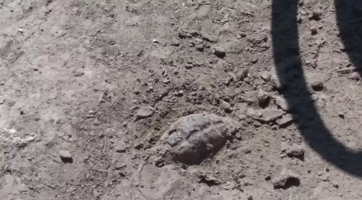 Grenadă cu potențial letal găsită lângă un liceu din Galați