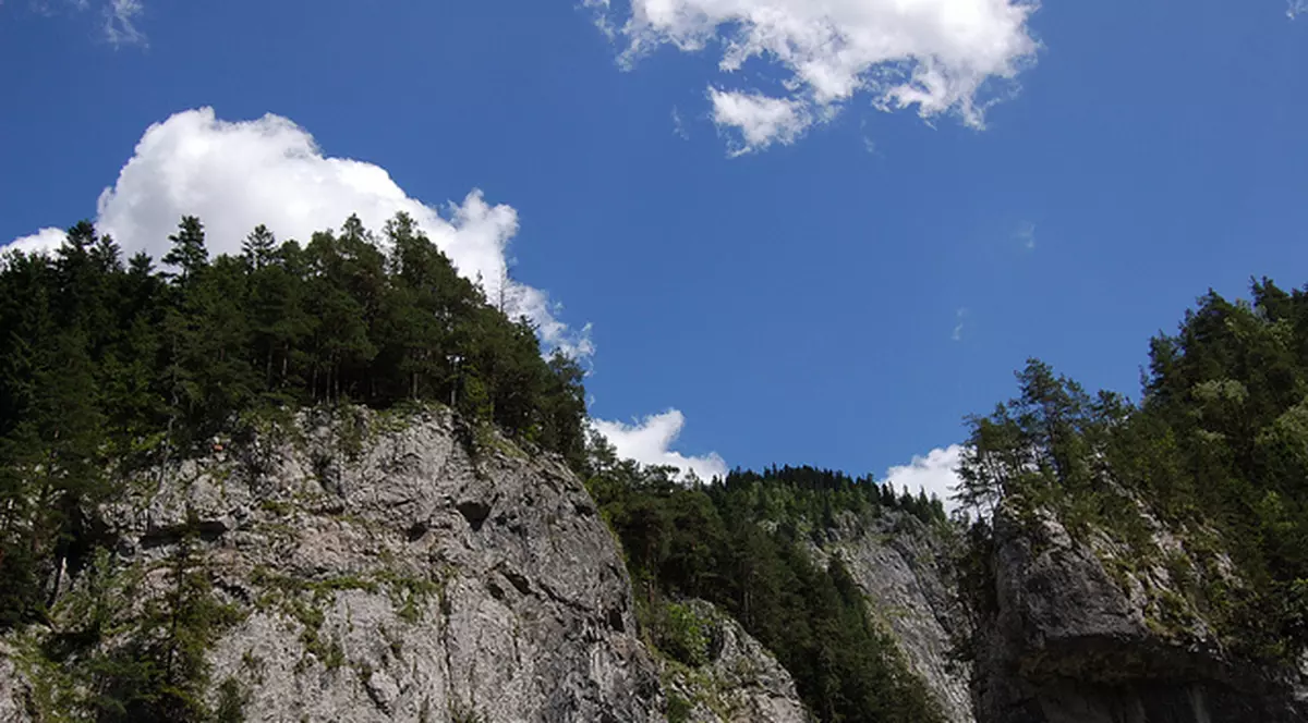 Patru persoane, dispărute în Munţii Buzăului. Cum i-au găsit jandarmii