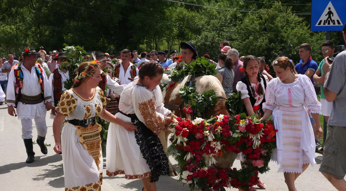 Val de nunţi la Figa după ce fetele au prins boul de Rusalii | GALERIE FOTO
