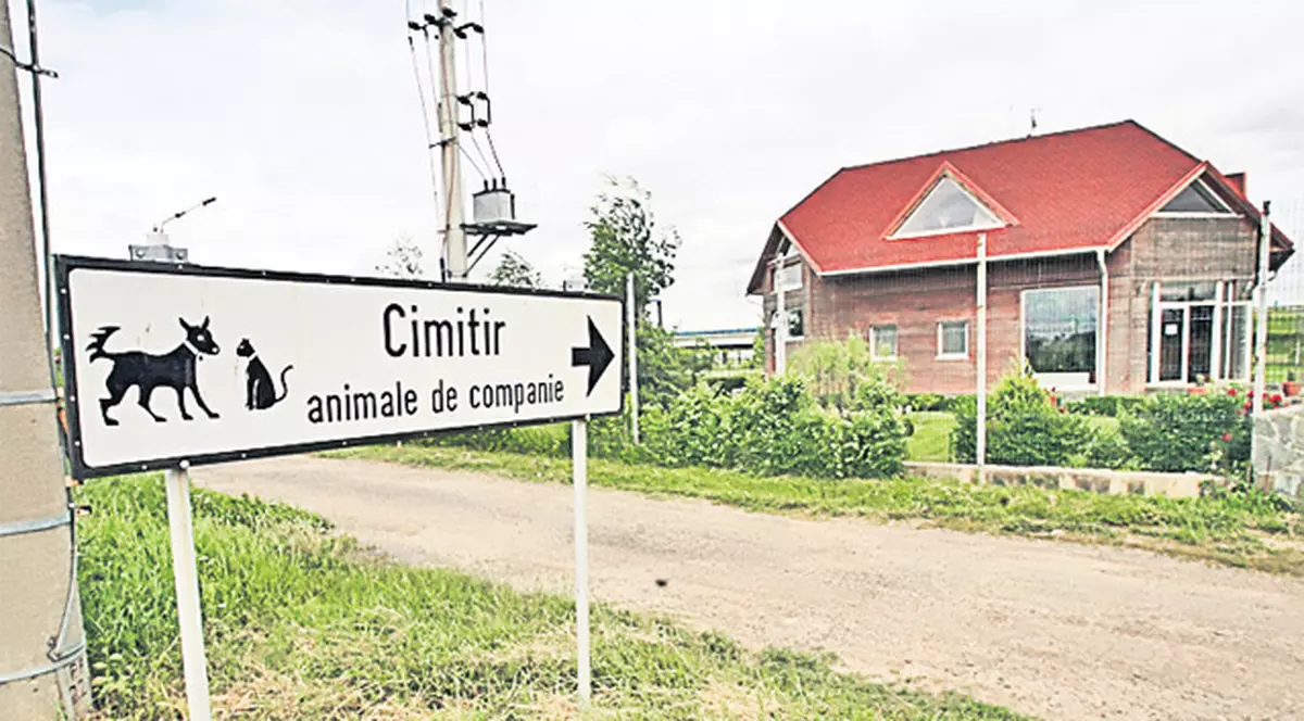Cimitir pentru animalele de companie la Caransebeș