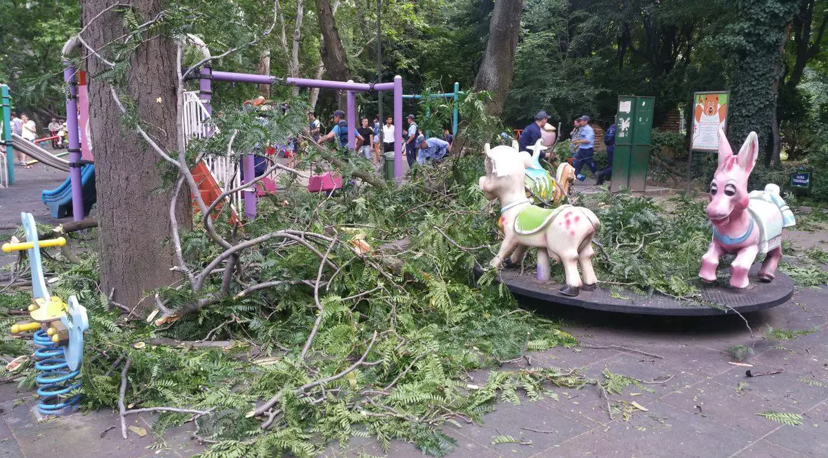Patru copii și doi adulți răniți în Parcul Cișmigiu. O creangă a căzut peste un loc de joacă / FOTO