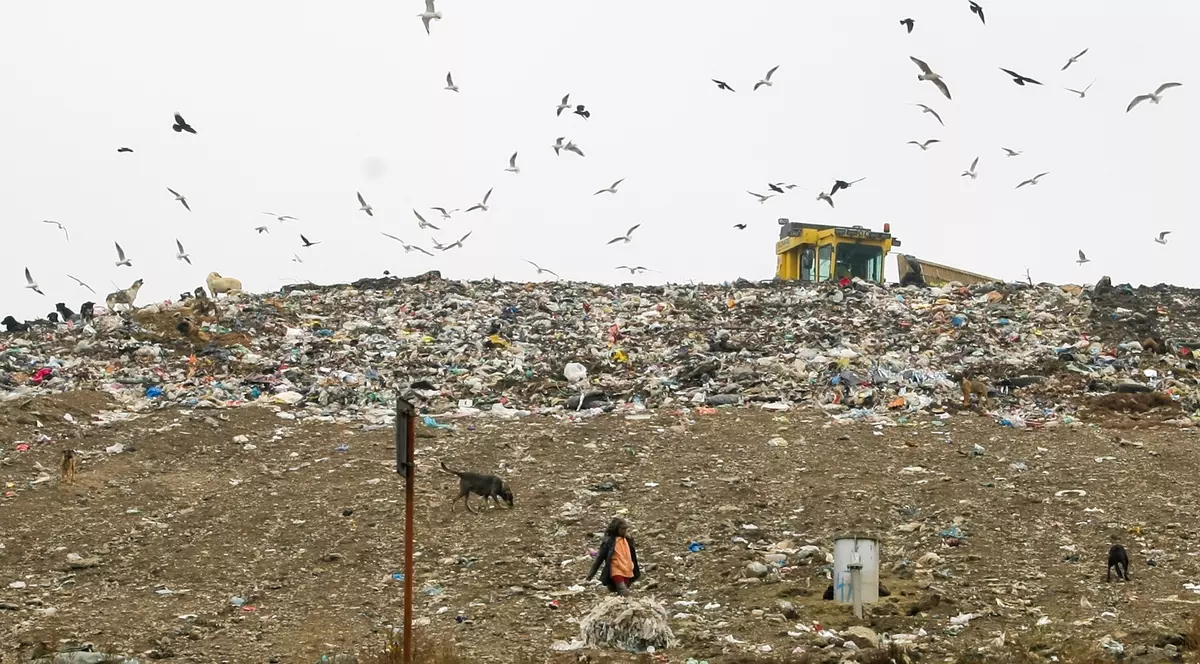 EXCLUSIV / Vom scoate parfum din gunoi. Proiect românesc ieşit din comun pentru deşeurile care ne sufocă