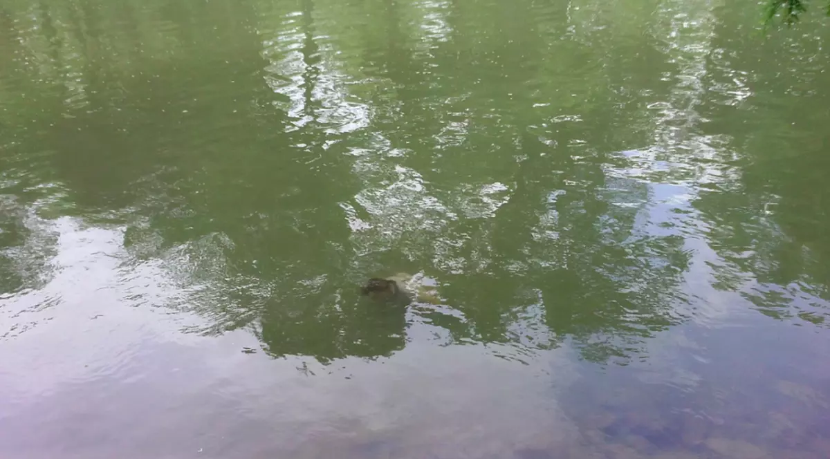 Un băiat de 14 ani a murit înecat în balta unei balastiere