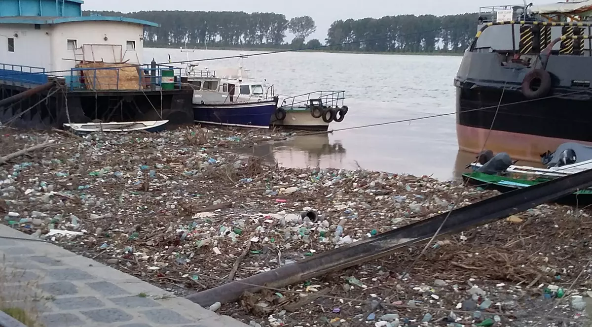 Tone de gunoaie plutesc pe malurile Dunării! GALERIE FOTO