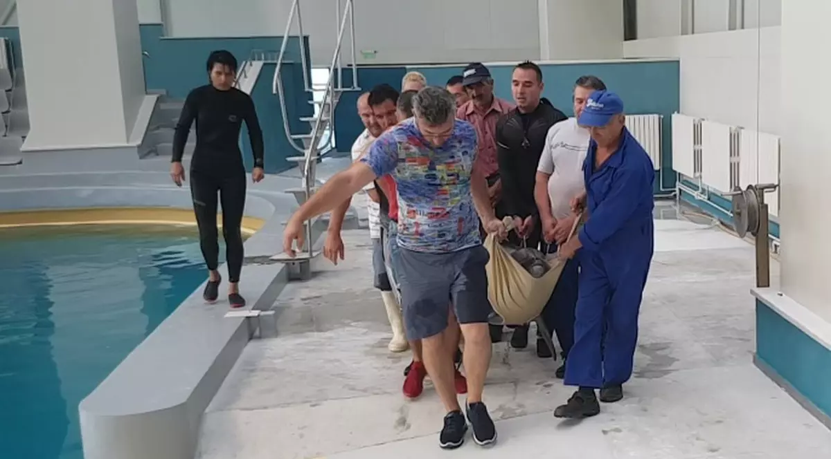 Delfinițele din Constanța s-au mutat în casă nouă FOTO&VIDEO