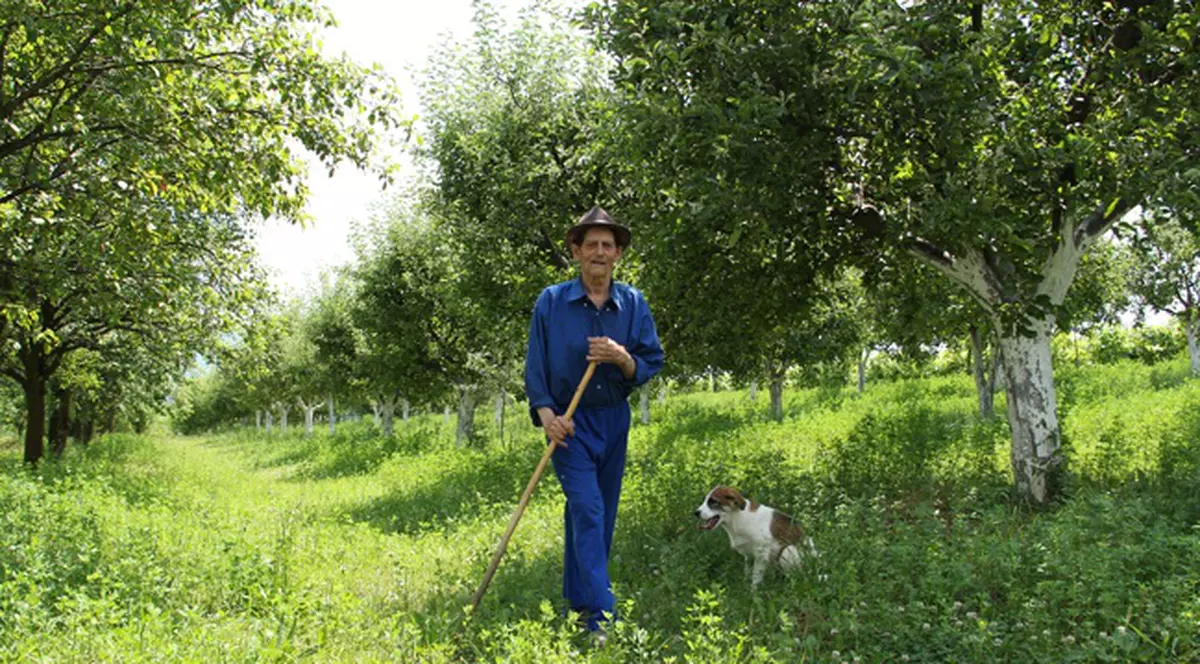 ”Dințarul” din Viișoara se mândrește la 95 de ani cu 38 de nepoți, 18 strănepoți și 3 stră-strănepoți