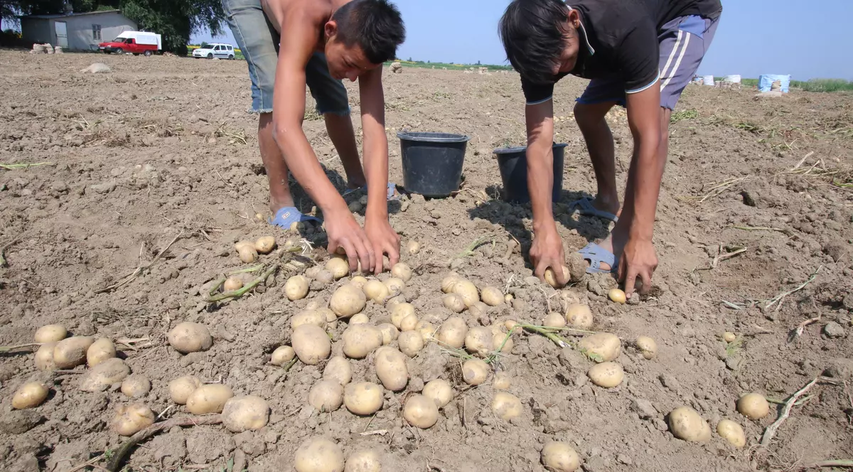 ”Strategia de Dezvoltare Durabilă a României 2013-20120-2030”:  73% din terenurile agricole ale României au ”obosit”!