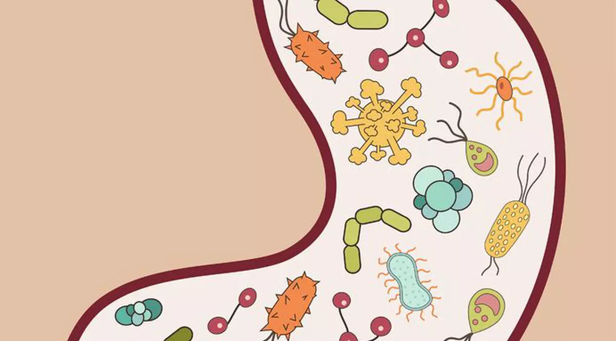 Elimină paraziții intestinali cu aceste remedii naturiste