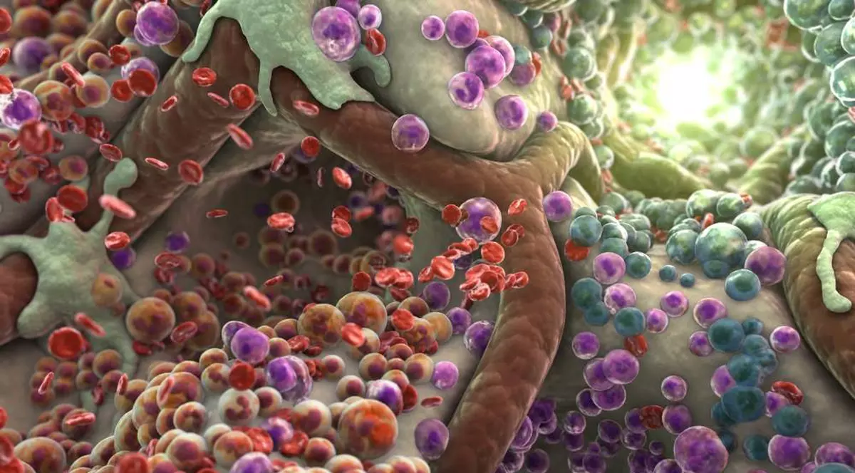 Cel mai agresiv tip de cancer de piele ar putea fi vindecat