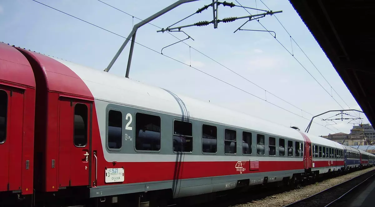 copac cazut peste tren