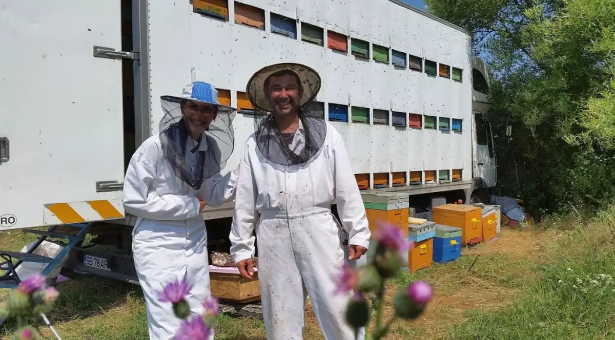 Orășenii deveniți apicultori | Au lăsat Bucureștiul ca să crească albine pe Valea Hărtibaciului