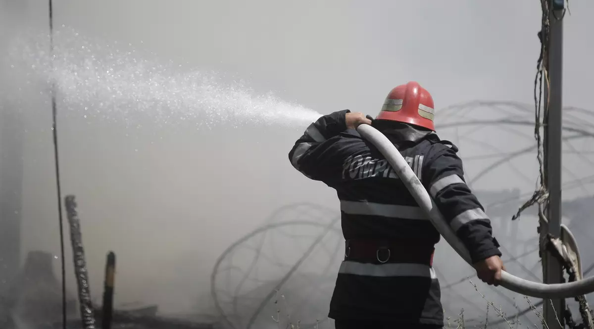 Incendiu puternic de pădure în judeţul Buzău. Cinci hectare au fost devastate