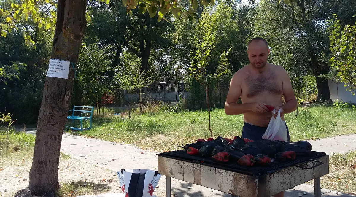 Gospodinele din Galați își fac zacuscă la plajă și la pădure / GALERIE FOTO