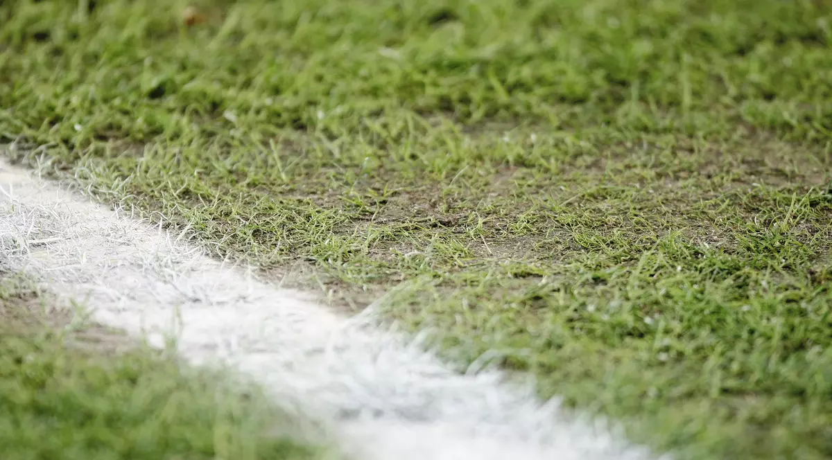 România - Muntenegru 1-1. Cum a arătat, cu adevărat, gazonul vopsit și ”însămânțat” de pe ”Cluj Arena”. Ce nu s-a văzut la TV / GALERIE FOTO