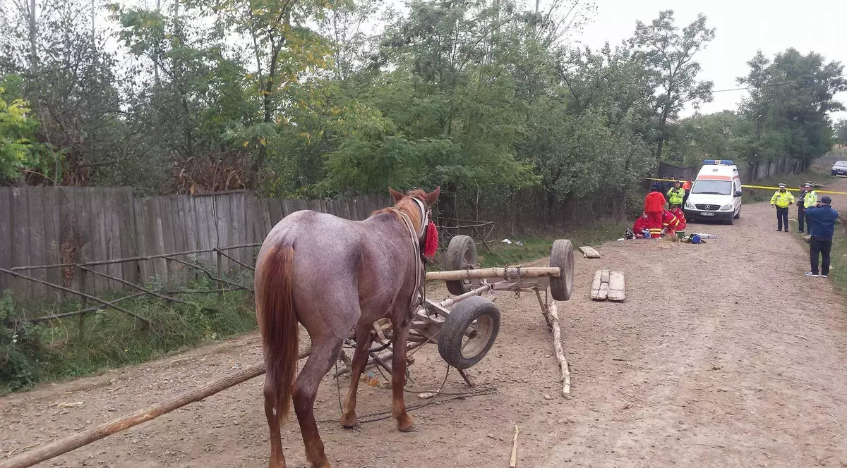 Accident tragic! Căruța în care se aflau doi copii s-a răsturnat GALERIE FOTO